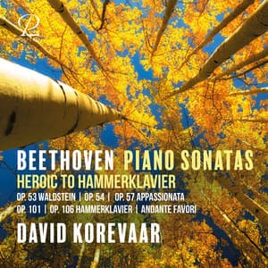 Beethoven: Piano Sonatas - Heroic to Hammerklavier: Op. 53 "Waldstein", Op. 54, Op. 57 "Appassionata", Op. 101 & Op. 106 "Hammerklavier" - Ludwig van Beethoven