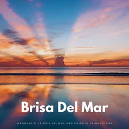 Serenidad De La Brisa Del Mar: Meditación De Calma Costera - Chakra Meditación Universo