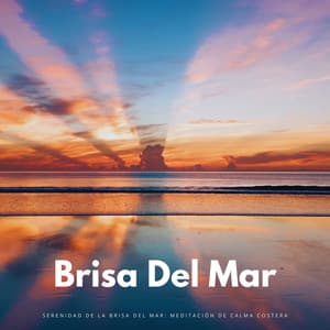 Serenidad De La Brisa Del Mar: Meditación De Calma Costera - Chakra Meditación Universo