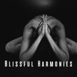 Blissful Harmonies: Chill Music for Calm Meditations - Deep Inside
