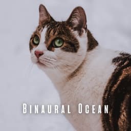 Binaural Ocean: Theta Wave for Cats' Peace - Wind and Oceans