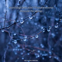 Soothing Rain And Thunderstorm Sounds For Sleep - Derrol