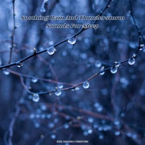 Soothing Rain And Thunderstorm Sounds For Sleep - Derrol