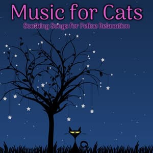 Music For Cats: Soothing Songs for Feline Relaxation - Cat Music