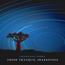 Those Tranquil Awakenings - Thunderstorms