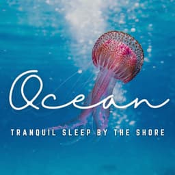 Ocean's Peaceful Rest: Sailing into a Night of Tranquility - Sundays By The Ocean