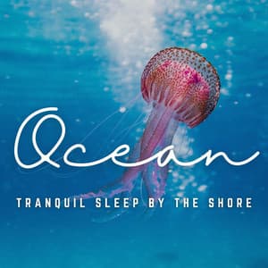 Ocean's Peaceful Rest: Sailing into a Night of Tranquility - Sundays By The Ocean