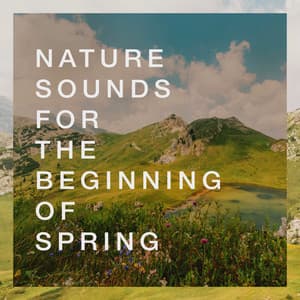 Nature Sounds for the Beginning of Spring - Nature Sounds