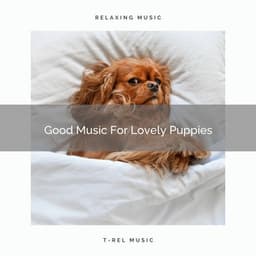 Good Music For Lovely Puppies - Sleepy Pets