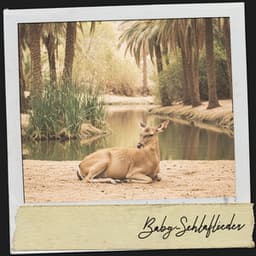 Baby-Schlaflieder: Oasen-Retreat - Cat Music Therapy