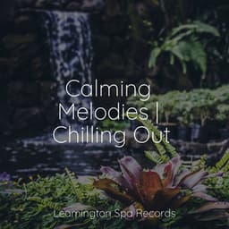 Calming Melodies | Chilling Out - Sonido de lluvia