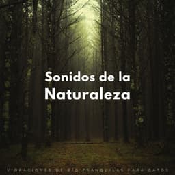 Sonidos De La Naturaleza: Vibraciones De Río Tranquilas Para Gatos - Sonidos del río