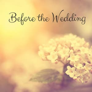 Before the Wedding - Elton Ames