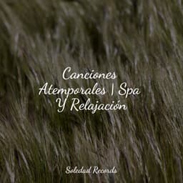 Canciones Atemporales | Spa Y Relajación - Música Para Dormir Inspirada En El Espacio
