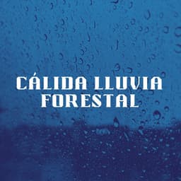 Cálida Lluvia Forestal - Llovido