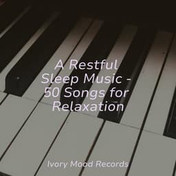 A Restful Sleep Music - 50 Songs for Relaxation - Música Zen Relaxante