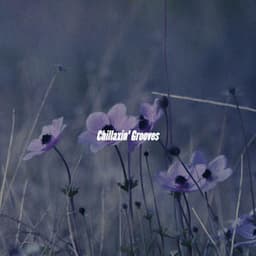 Chillaxin' Grooves - Instrumental Jazz Musica Ambiental