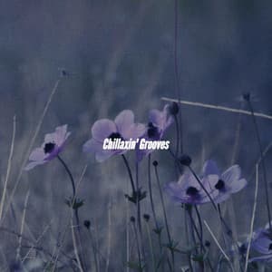 Chillaxin' Grooves - Instrumental Jazz Musica Ambiental