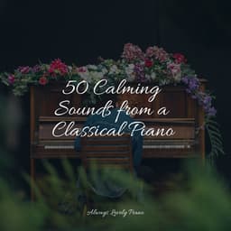 50 Meditative Piano Classics - Piano Bar
