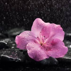 Zen Rain Reverberations: Music for Stress Relief - Green Rain