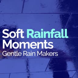 Soft Rainfall Moments - Gentle Rain Makers