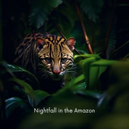 Nightfall in the Amazon: Between Roots and Stars - Ambient Jungle Sounds