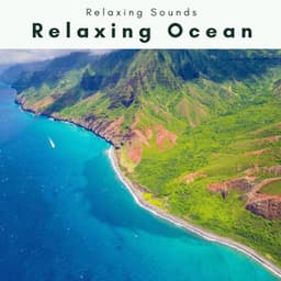 A Relaxing Ocean - Seashore Waves