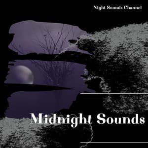 Midnight Sounds: Serene Night - Night Sounds Channel