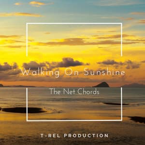 Walking On Sunshine - The Net Chords