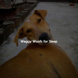 Waggy Woofs for Sleep - Evening Jazz Chill