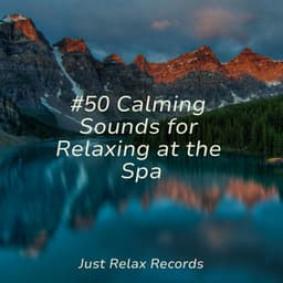#50 Calming Sounds for Relaxing at the Spa - Drowsy Cloud