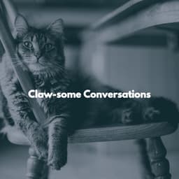 Claw-some Conversations - Soothing Cat Music