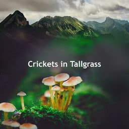 Crickets in Tallgrass - Mother Nature Recordings