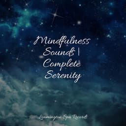 Mindfulness Sounds | Complete Serenity - Forest Soundscapes