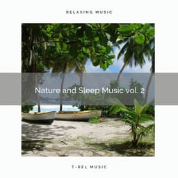 2021 Nature and Sleep Music vol. 2 - World Recorders