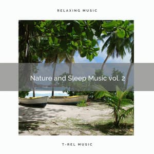 2021 Nature and Sleep Music vol. 2 - World Recorders