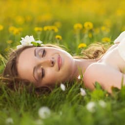 Sculpted Serenity: Nature's Symphony of Harmonious Beauty - The Water Sleepers