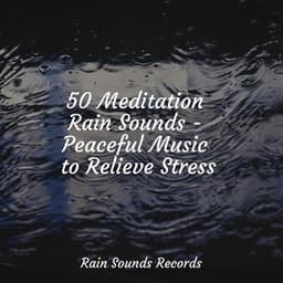 50 Meditation Rain Sounds - Peaceful Music to Relieve Stress - Sonidos De Lluvia y Tormentas