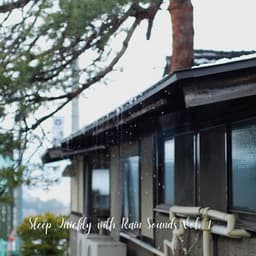 Sleep Quickly with Rain Sounds Vol. 1 - Music for Sleeping Ensemble