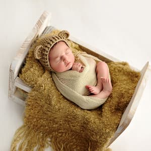 Lofi Baby Dreamscape: Sleepy Nighttime Serenity - Lofi Sleep