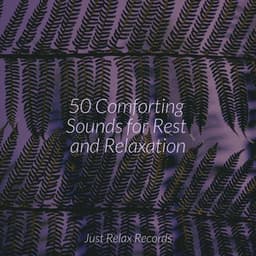 50 Comforting Sounds for Rest and Relaxation - Meditation Spa