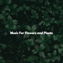 Music For Flowers and Plants - Work & Jazz