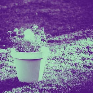 Music for Reading Platforms - Lofi Chill and Study