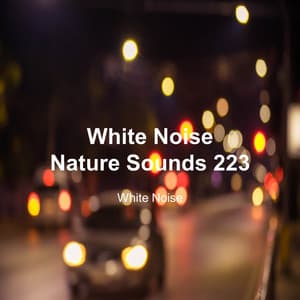 White Noise 223 - White Noise