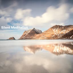 Silent Meditation - Silent Meditation Zone