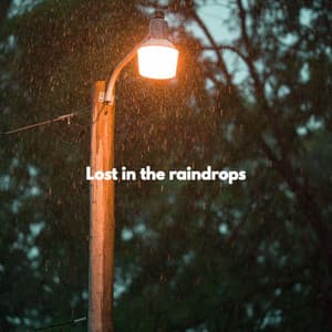Lost in the raindrops - Jazz para Estudiar