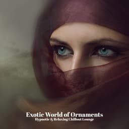 Exotic World of Ornaments - Hypnotic & Relaxing Chillout Lounge - Hindi Direction