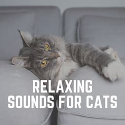 Relaxing Sounds for Cats - Music for Cats Peace