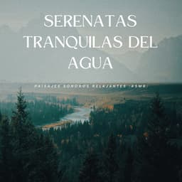 Serenatas Tranquilas Del Agua: Paisajes Sonoros Relajantes - Aguas Naturales
