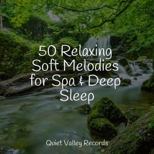 50 Relaxing Soft Melodies for Spa & Deep Sleep - The Relaxing Sounds of Swedish Nature